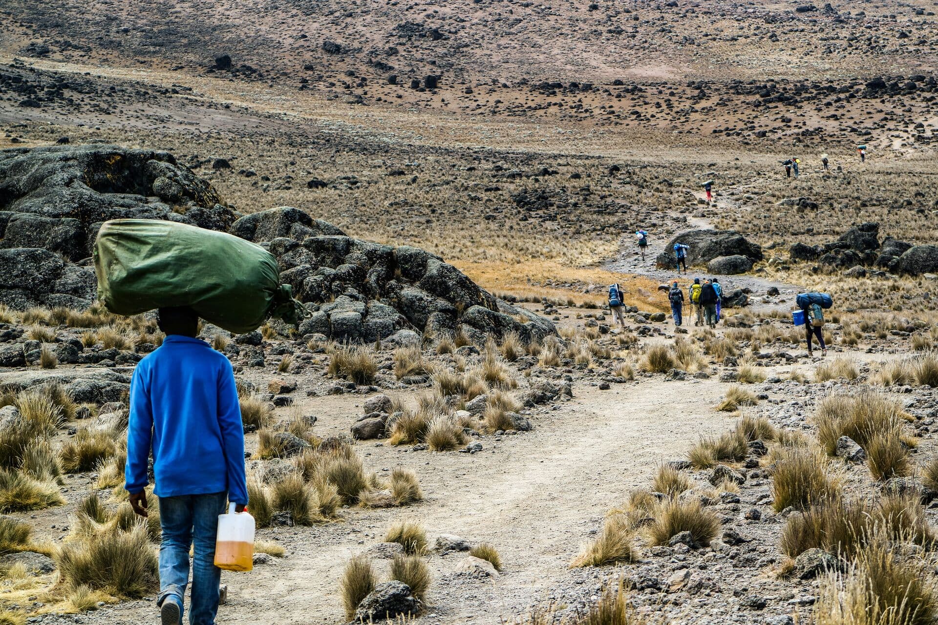 Forested slopes of Mount Kilimanjaro rising to its snow-capped peak